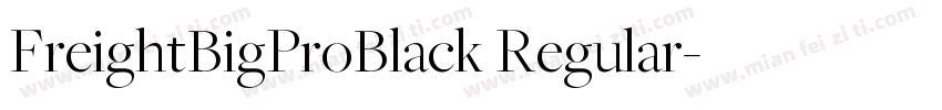 FreightBigProBlack Regular字体转换
